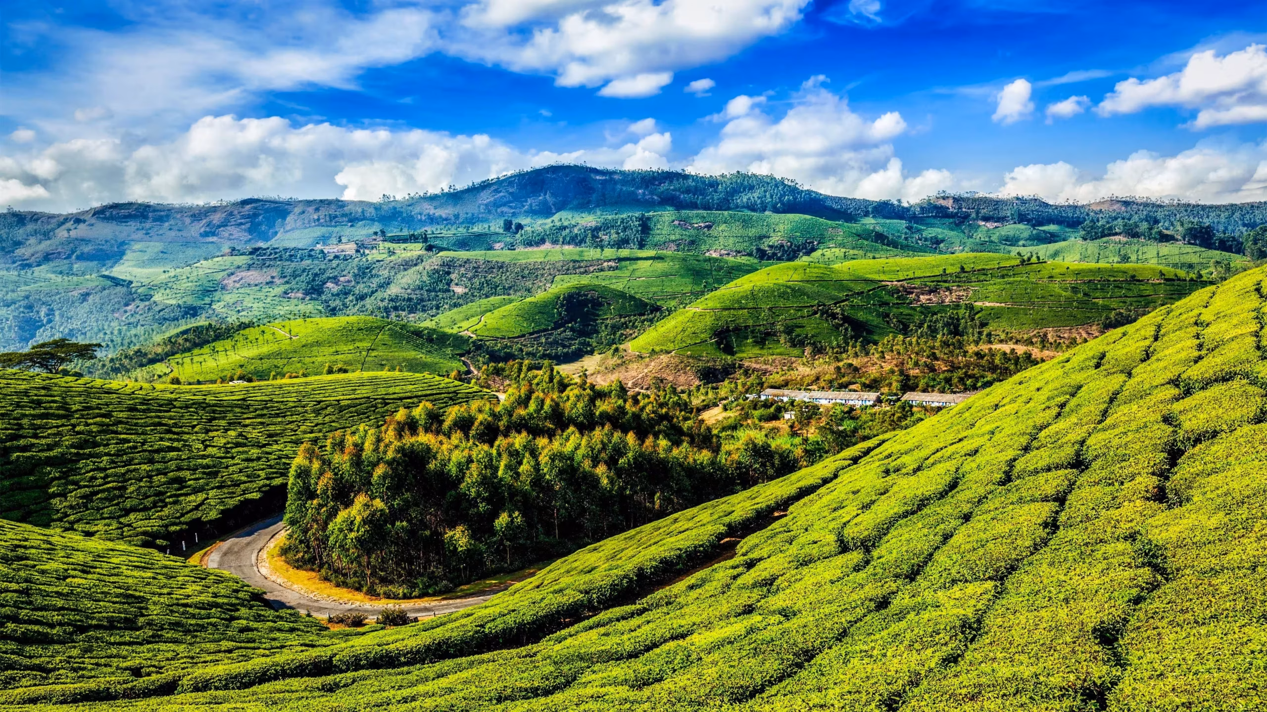 Naturaleza de Kerala – Viaje premium por el sur de India